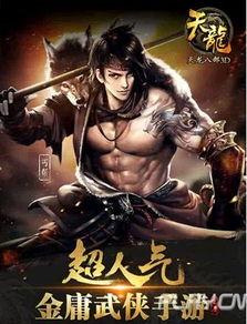 丐世英豪,江湖传奇，侠骨柔情