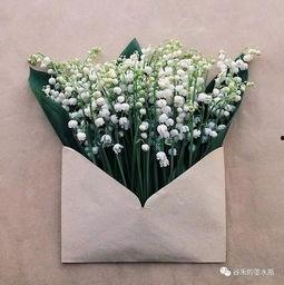 爱你很久很久 夏日的柠檬草,柠檬草香里的漫长爱恋